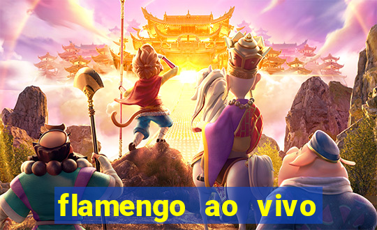 flamengo ao vivo multi canais